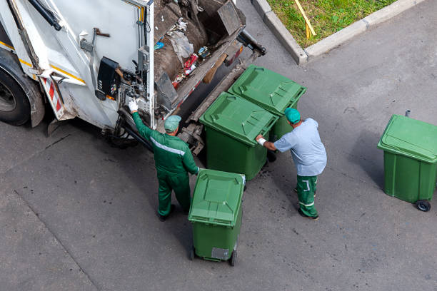 Yard Cleanup Services in Perryville, MD